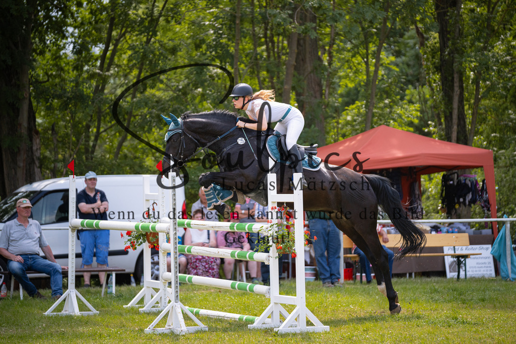 A7V07461 | Pferdefotograf