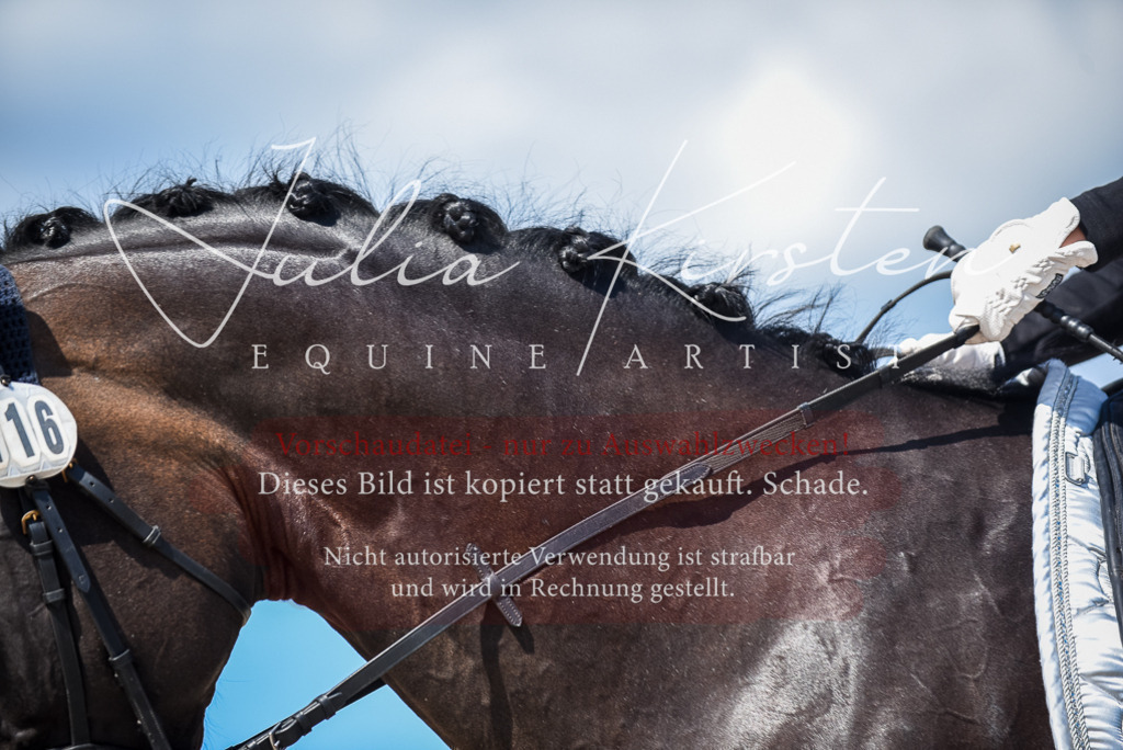 DSC_9553 | Pferde- und Turnierfotografie in Westsachsen. Pferdeportraits, Auftragszeichnungen und intuitive Kunst.