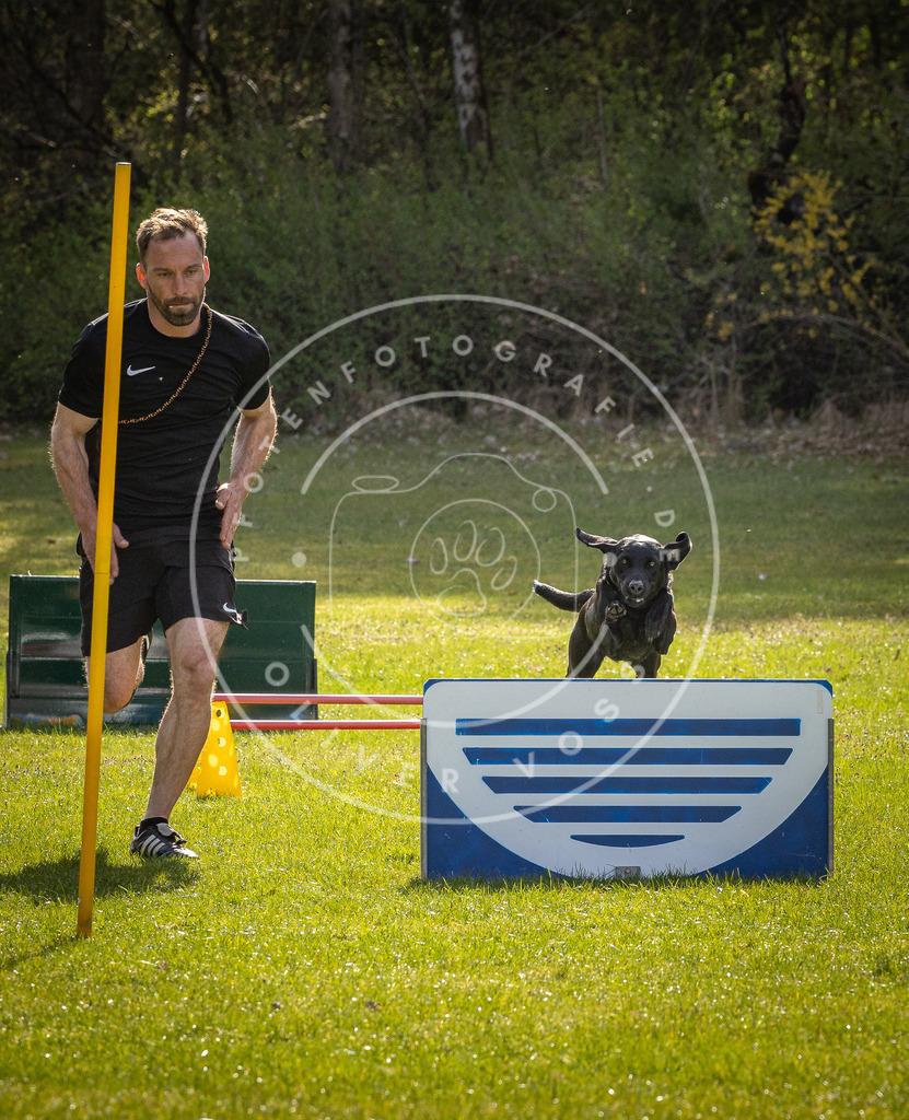 Pfotenfotografie_DV3A2965 | Hundefotografie, Tierfotograf, Pfotenfotografie, Fotoshooting Hund, Hunde Portrait, Hundesport, Hundeportraits, Heideshooting, Hunde, Sportfotograf, Hundefotograf, Turnierhundsport, THS,  - Realisiert mit Pictrs.com