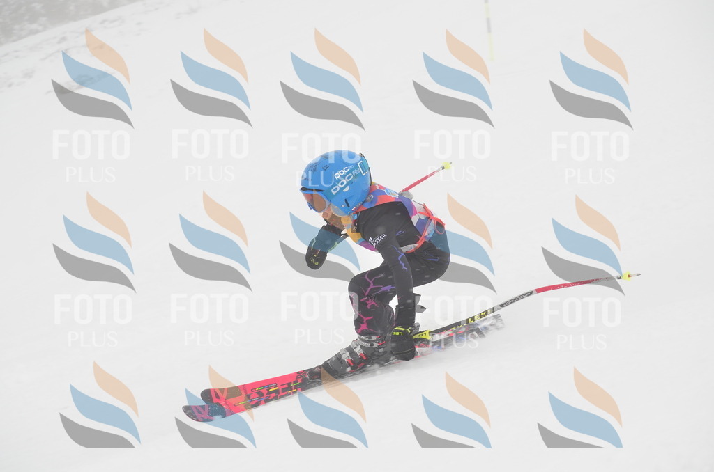 C0817 | holidayphoto