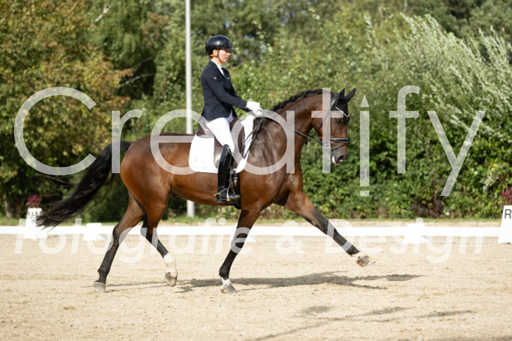 IMG_7006 | Creatify Fotografie