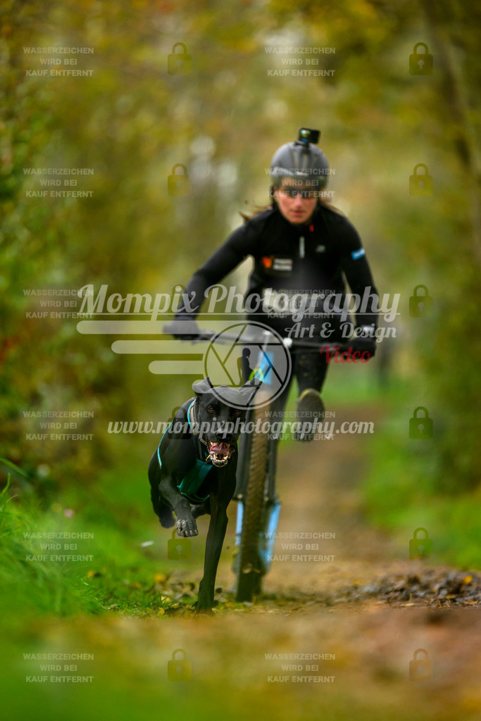MompixPhotography_20TSB_E6_DS1-6 | PayLife