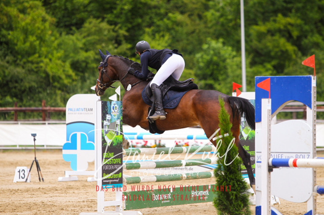 DKP41826 | Turniersportfotografie; Pferdefotografie; Dressurfotografie