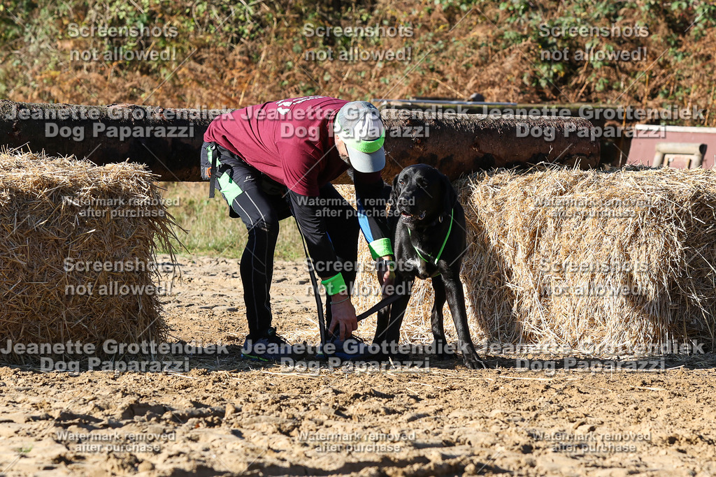 Dog Paparazzi - Strongdog 10-25-1913 | Dog Paparazzi Jeanette Grottendiek Fotografie & Videografie - Realisiert mit Pictrs.com