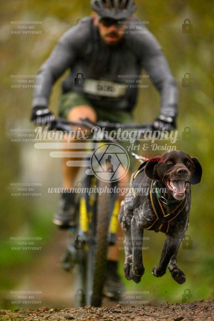 MompixPhotography_20TSB_E6_Bike-126 | mompixphotography