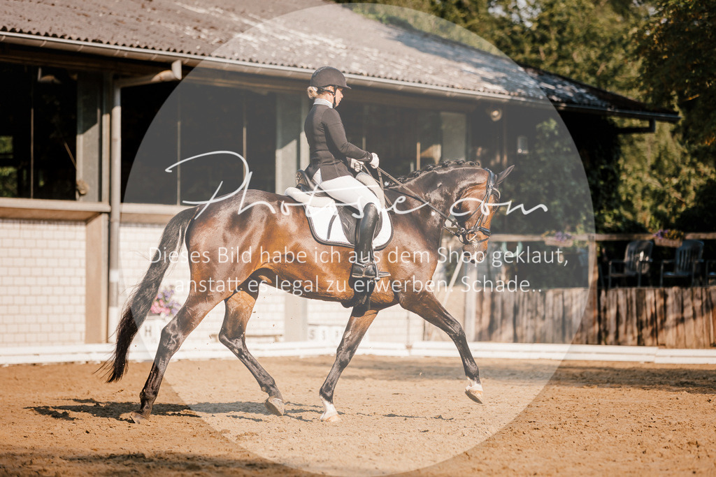 3I6A8602 | Stimmungsvolle Portraits und Reitsportfotografie im Ruhrgebiet und im Münsterland.

Pferdefotografie, Hundefotografie, Tierfotografie, Reportagen, Portraits von Tier und Mensch, Turnierfotografie in Bochum, Recklinghausen, Marl, Haltern am See, Dülmen.. - Realisiert mit Pictrs.com