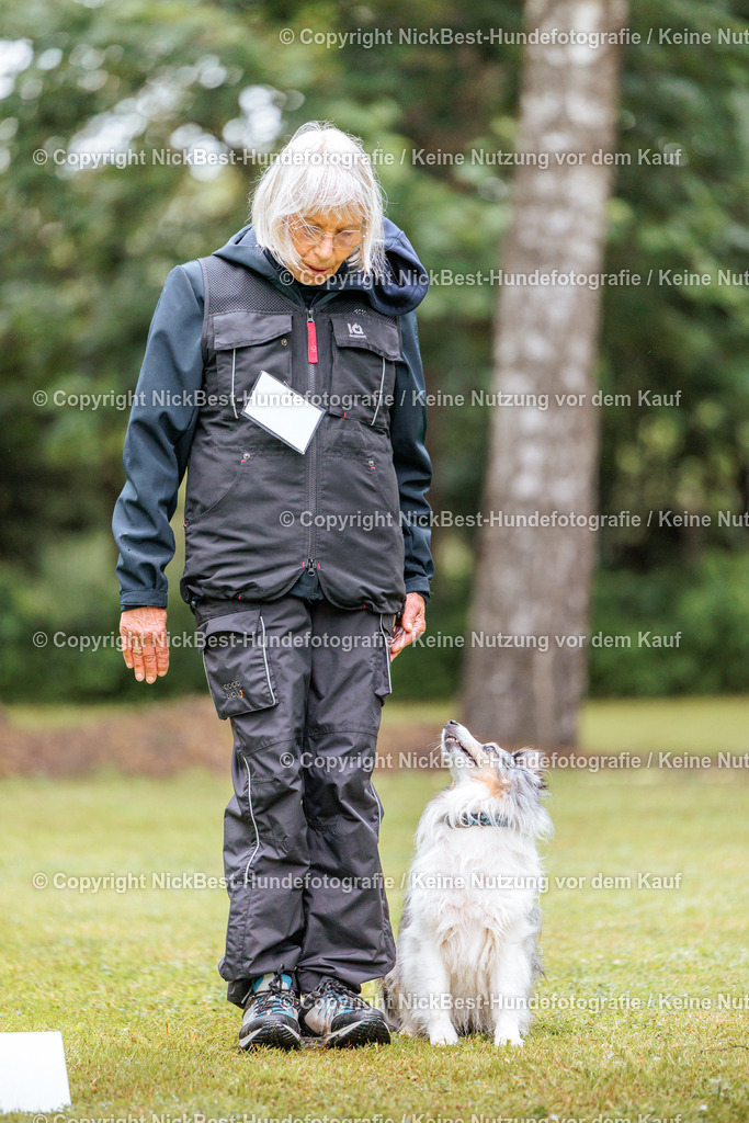 RO-Blumenthal-2026-Nickbest-Hundefotografie-0765 | Dein Hund! Dein Moment! Deine Erinnerungen! Hundefotografie in Bremen Blumenthal. Ich fange die besonderen Momente deines Vierbeiners ein – ob Indoor mit Blitzanlage oder in der freien Natur. Sicher dir dein Moment und dein Termin für eure Erinnerungen.