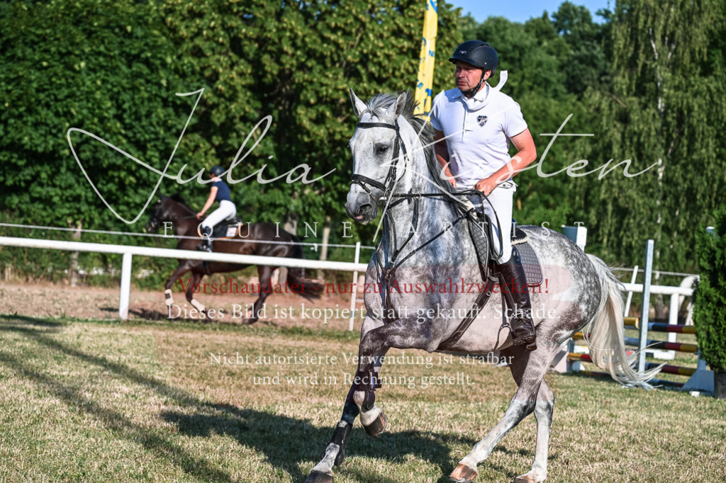 DSC_3040 | Pferde- und Turnierfotografie in Westsachsen. Pferdeportraits, Auftragszeichnungen und intuitive Kunst.