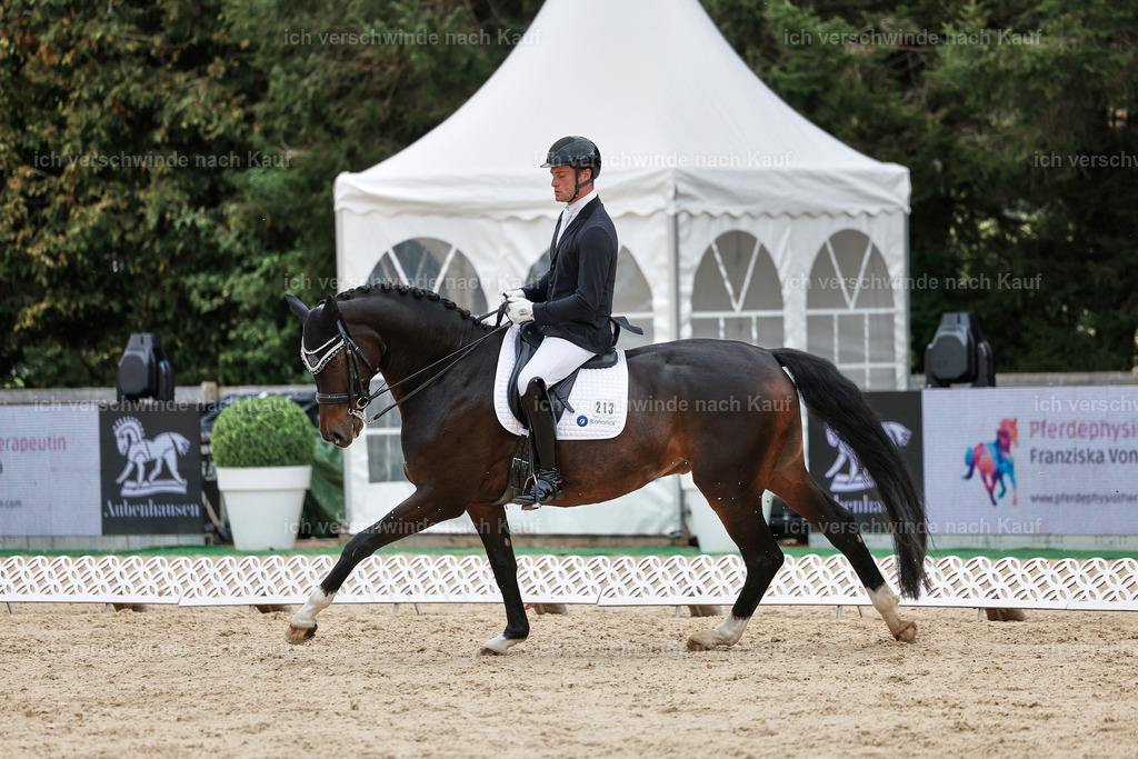 3-213-Dressur M_-StoibPH-2498 | working equitationturnier fotograf videograf stoibphotography marixx film working equitation deutschland reitsport turnierfotografie eventfotografie equestrian events