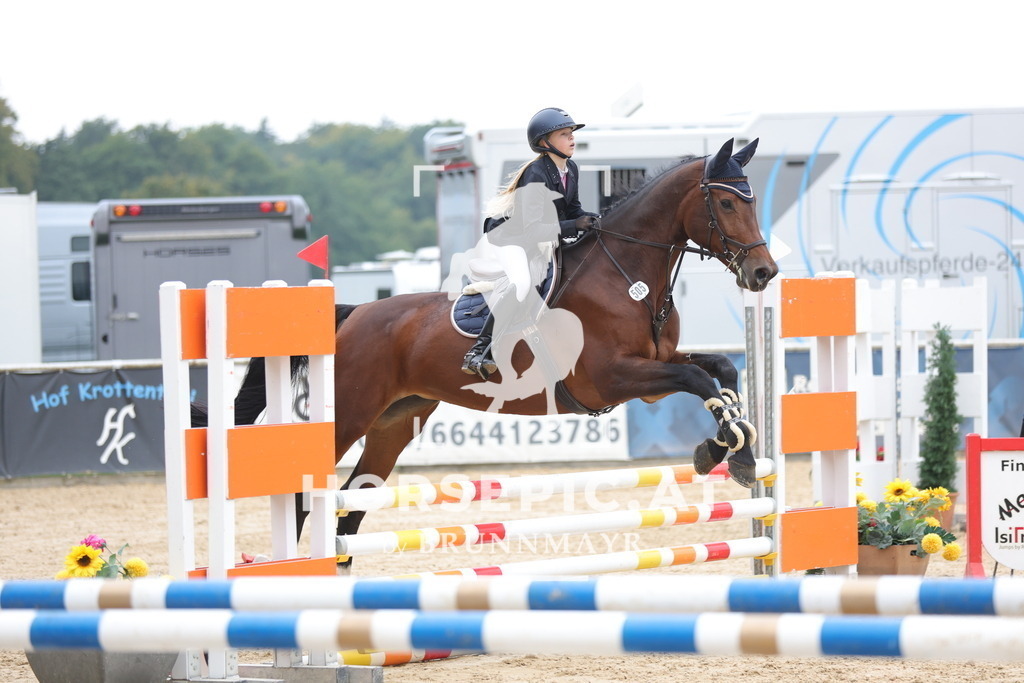 0P6A5356 | Willkommen bei Brunnmayr - Design & Fotografie – Ihrem Spezialisten für Reitturniere und Pferdeveranstaltungen in Oberösterreich, Salzburg und Bayern! Seit über 17 Jahren sind wir leidenschaftlich dabei.