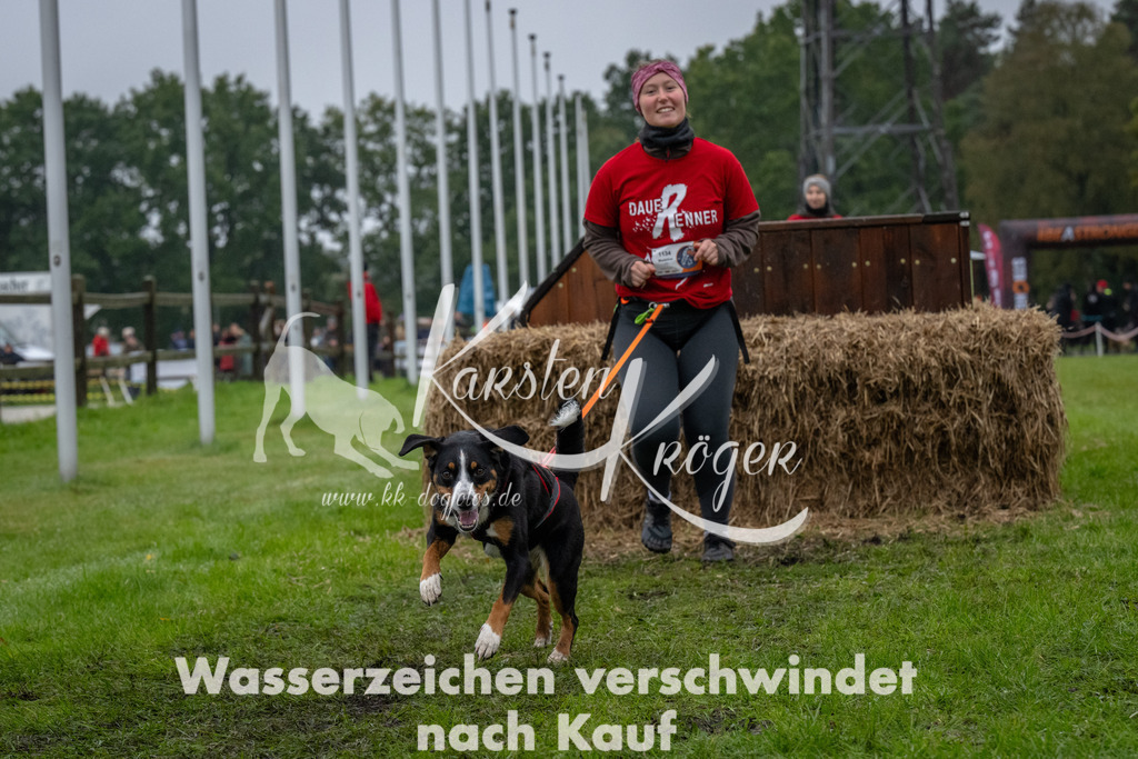 1112-93879 | kk-dogfotos