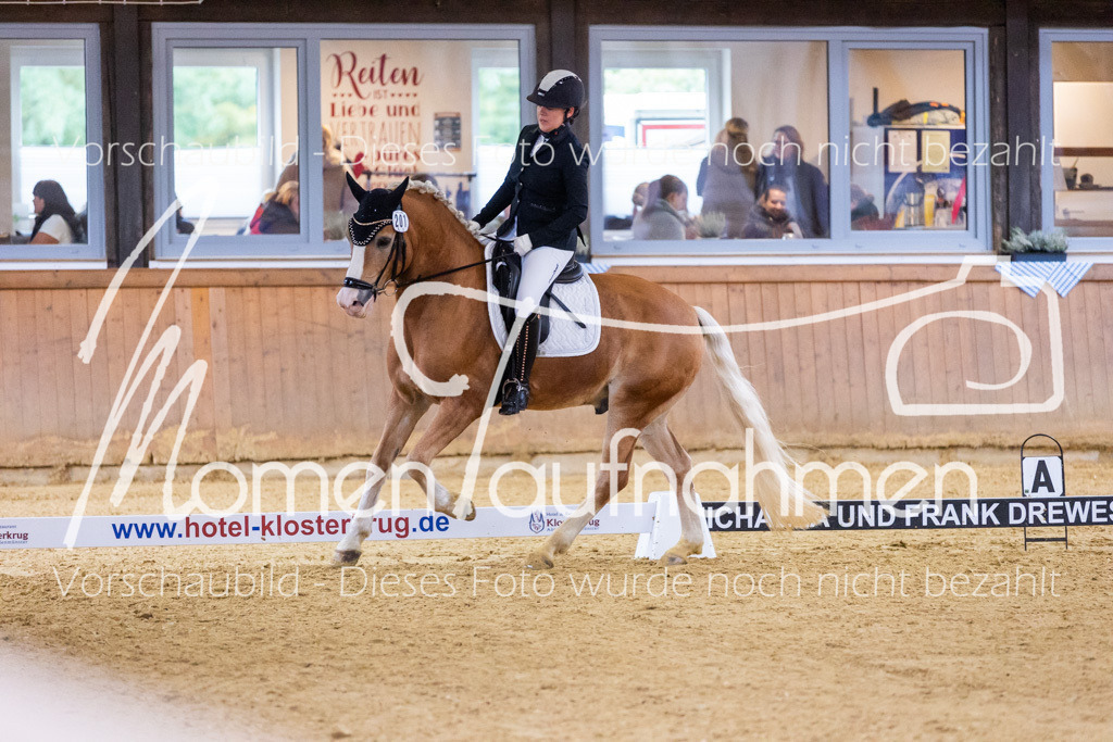 Sth-A-Dre-2St-046 | MomenTaufnahmen Pferdesportfotos