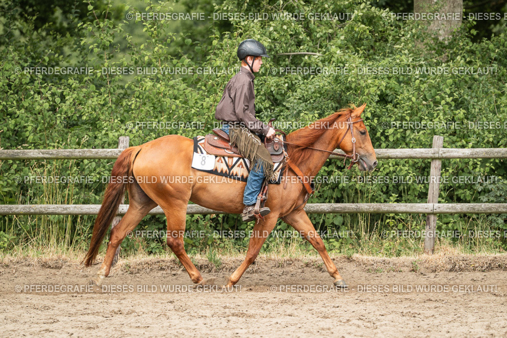 DSC03955 | Pferdegrafie