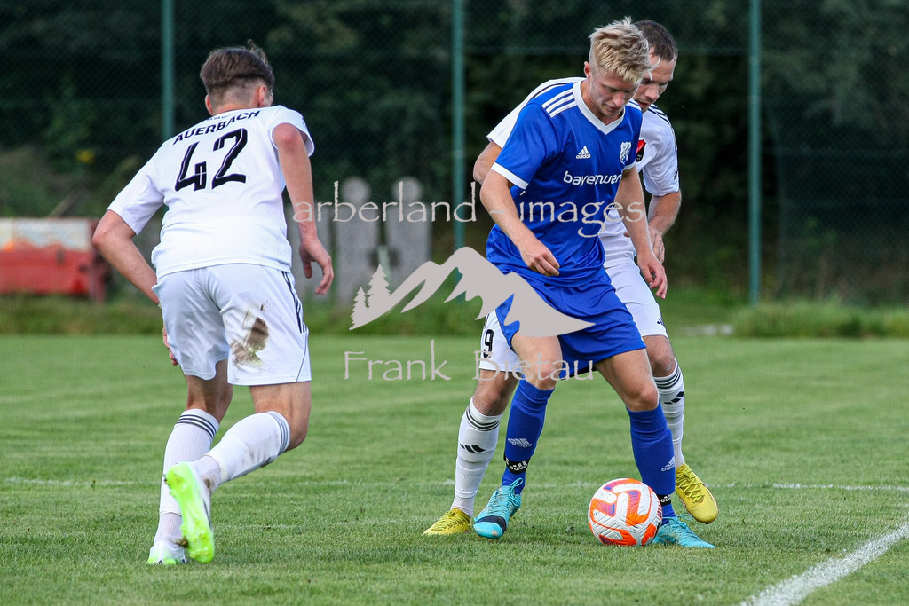 993T6845 | mitte, Simon Hausinger