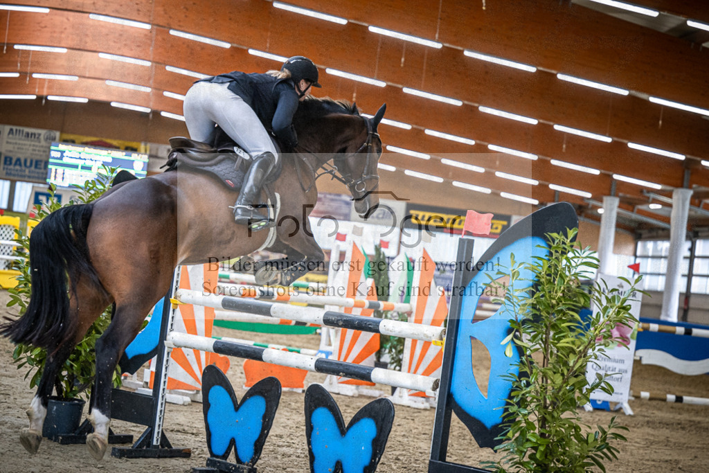 DOS_1168 | Entdecke hochwertige Reitturnierfotos von Foto Oger. Professionell, emotional und authentisch – jetzt Lieblingsmomente im Shop bestellen.Deutschlandweite Turnierfotografie. - Realisiert mit Pictrs.com