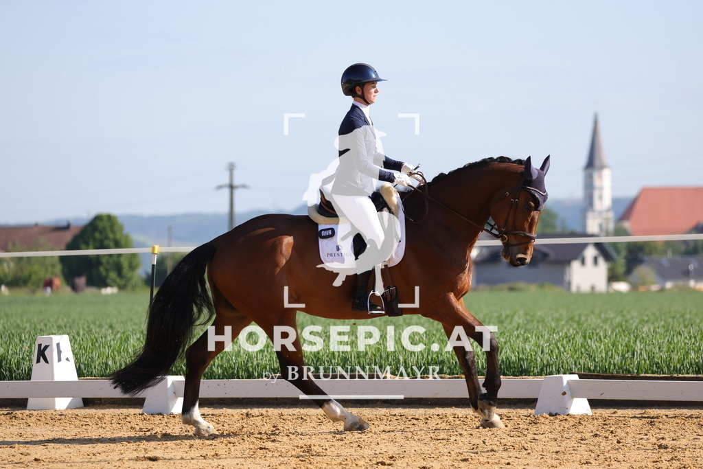 0P6A3268 | Willkommen bei Brunnmayr - Design & Fotografie – Ihrem Spezialisten für Reitturniere und Pferdeveranstaltungen in Oberösterreich, Salzburg und Bayern! Seit über 17 Jahren sind wir leidenschaftlich dabei.