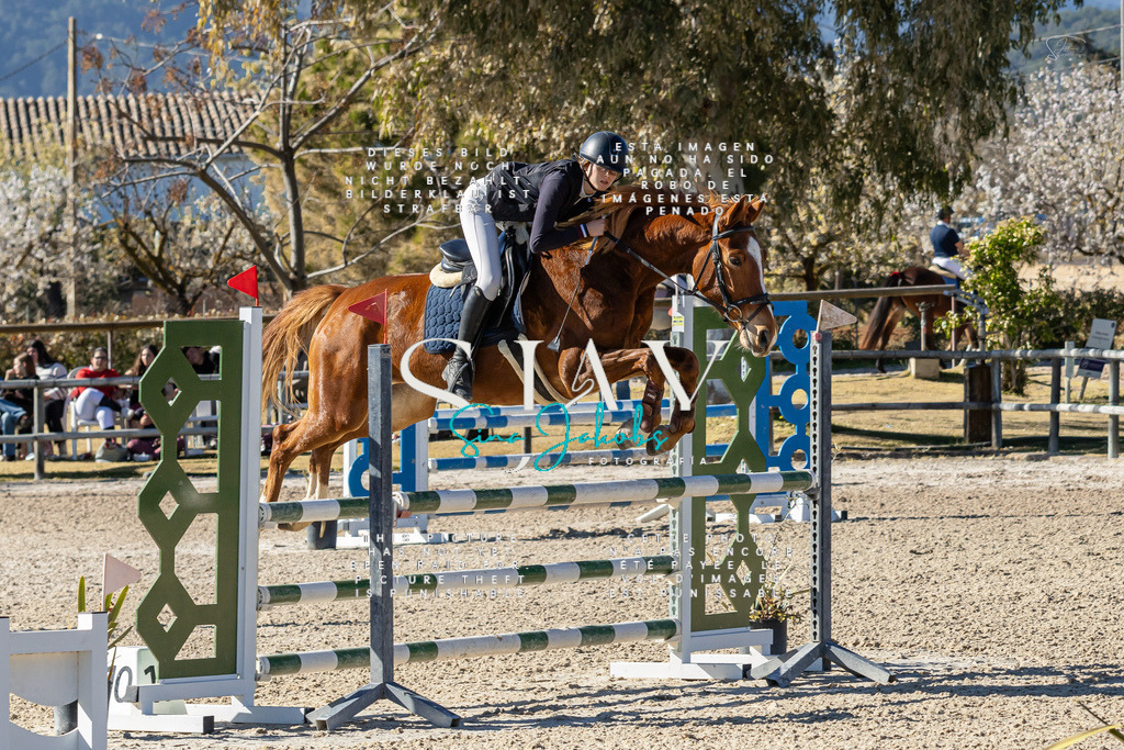 IMG_1348 | s-jay-photography - Realisiert mit Pictrs.com