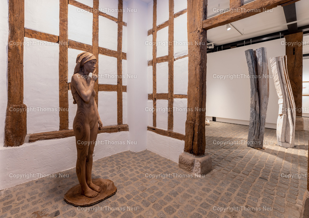 DSC_9066 | Museum Bensheim, Ausstellung Jochen Walpoth, 