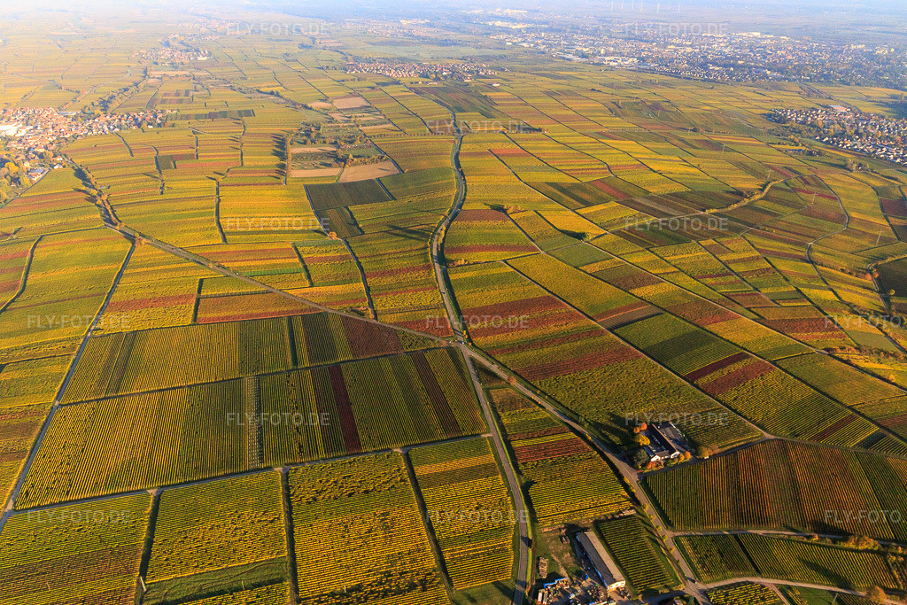 Luftbild: Herbstlicht bunte Reben der Weinberge bis Landau in Frankweiler im Bundesland Rheinland-Pfalz in Deutschland. Foto: IMG_095688.jpg vom 30.10.2016 durch Werner Riehm/FLY-FOTO.de