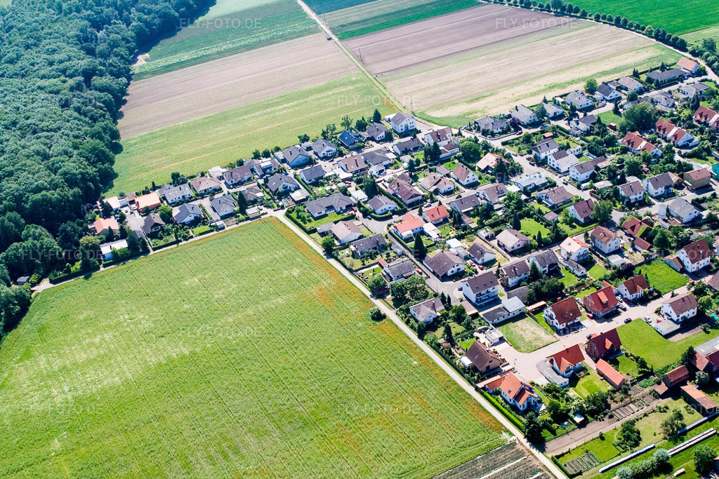 Luftbild: Waldstr in Erlenbach bei Kandel im Bundesland Rheinland-Pfalz in Deutschland. Foto: IMG_2324.jpg vom 03.06.2006 durch Werner Riehm/FLY-FOTO.de