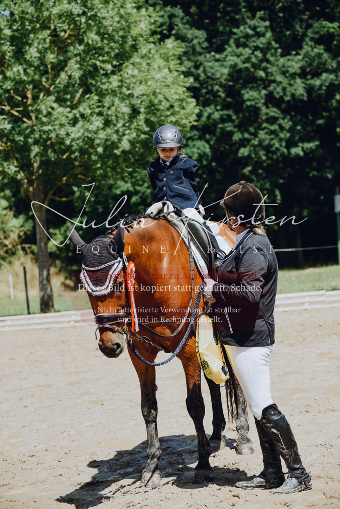 DSC_2676 | Pferde- und Turnierfotografie in Westsachsen. Pferdeportraits, Auftragszeichnungen und intuitive Kunst.