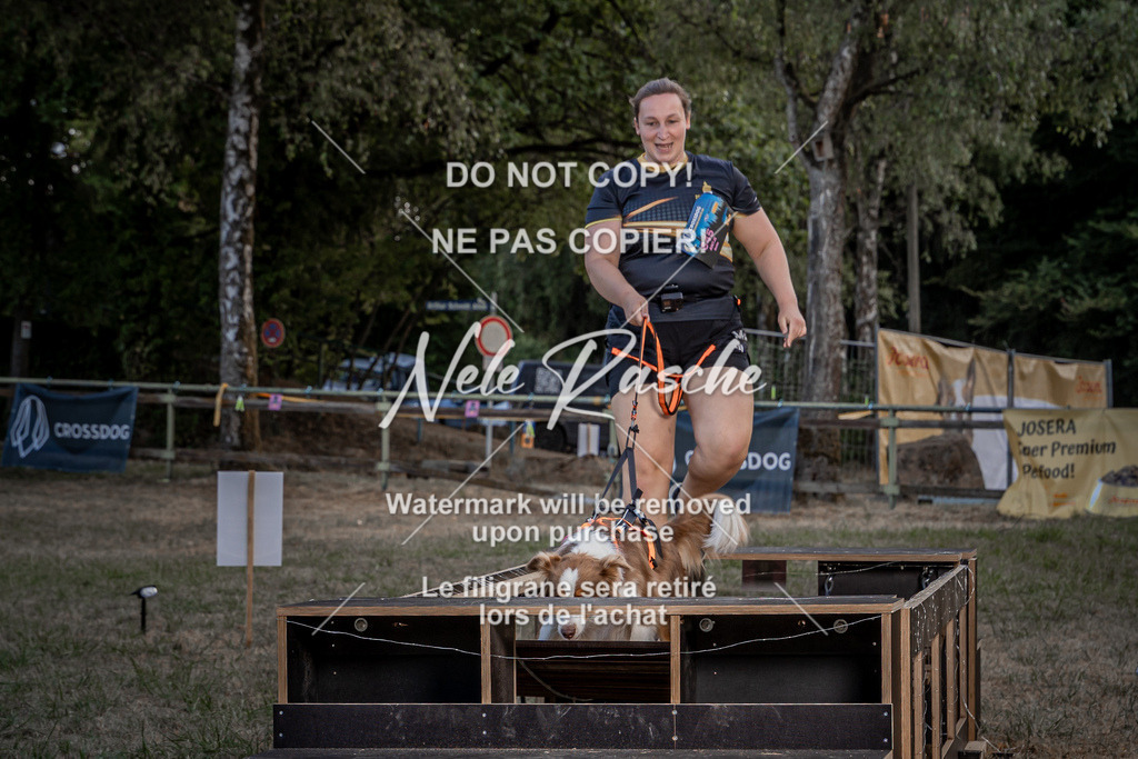 nelerasche_SummerNights26_SaBrücke2000-2030_09 | nelerasche