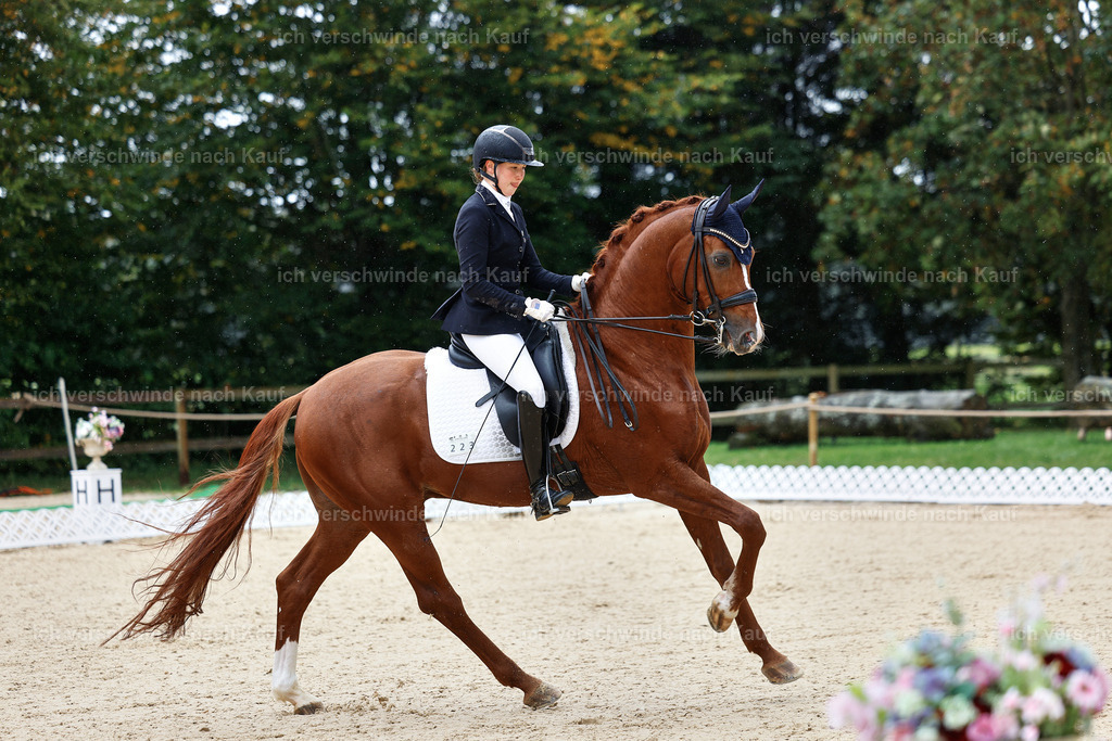 05-223-DRESSUR M_  -StoibPH-4883 | working equitationturnier fotograf videograf stoibphotography marixx film working equitation deutschland reitsport turnierfotografie eventfotografie equestrian events