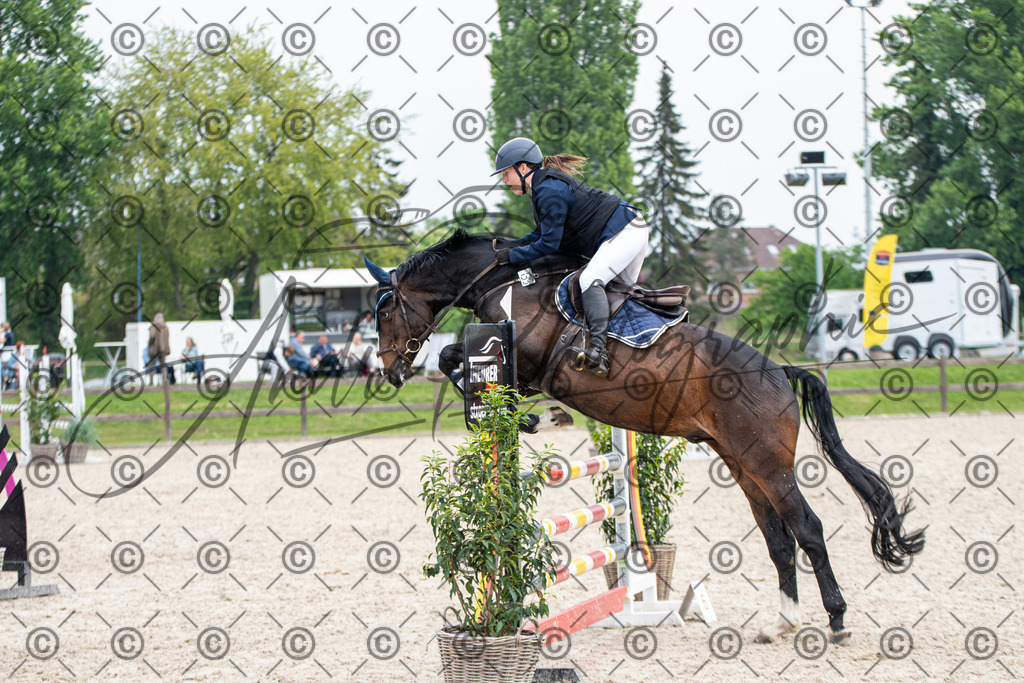 KPT_2848 | andre_photographic