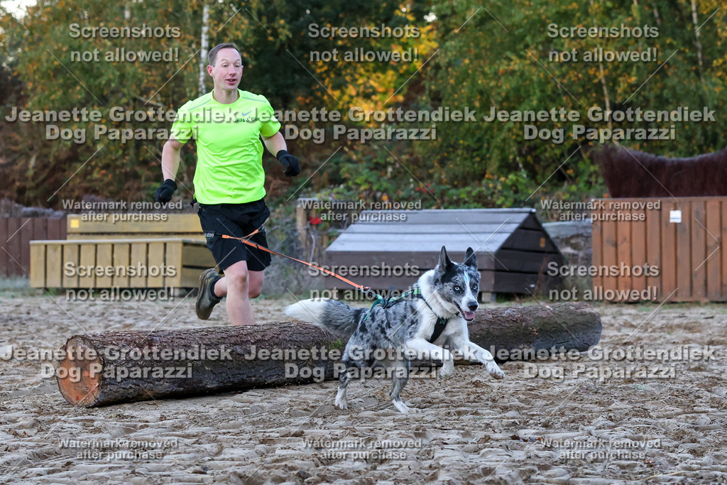 Dog Paparazzi - Strongdog 10-25-88 | Dog Paparazzi Jeanette Grottendiek Fotografie & Videografie - Realisiert mit Pictrs.com