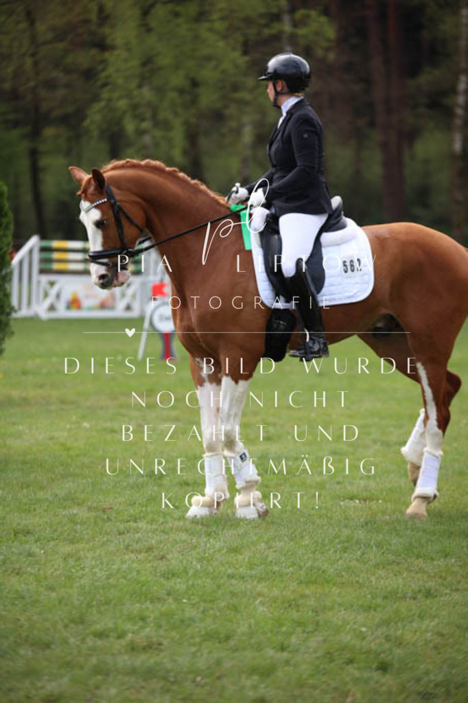 IMGT3458 | pl-fotografie