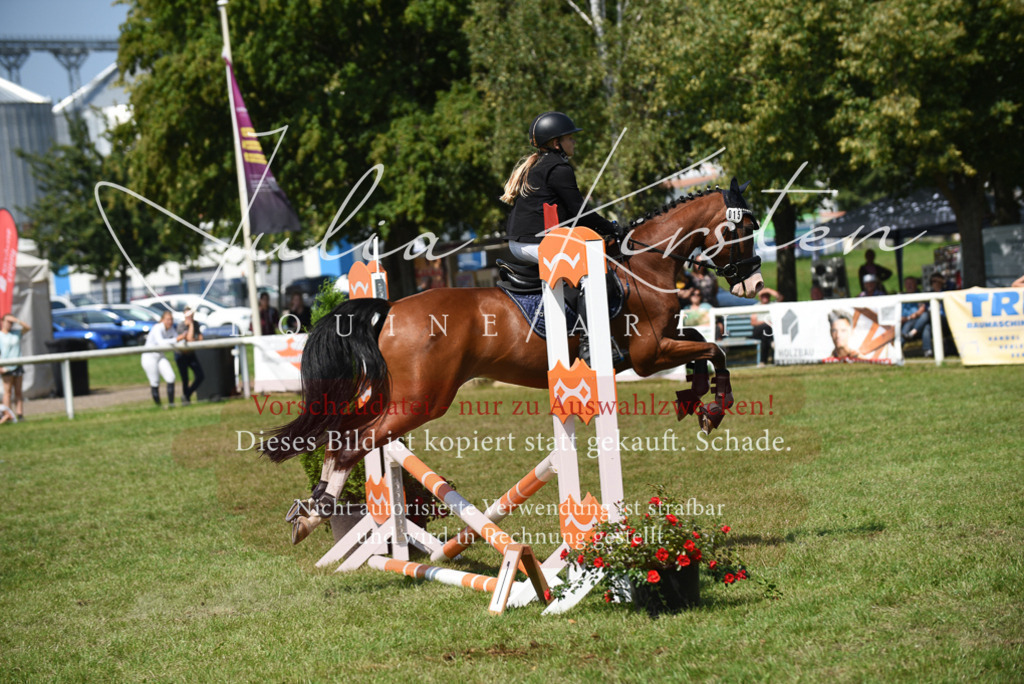 DSC_9998 | Pferde- und Turnierfotografie in Westsachsen. Pferdeportraits, Auftragszeichnungen und intuitive Kunst.