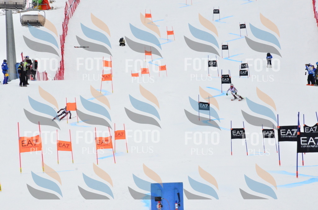 _ELE3579 | holidayphoto