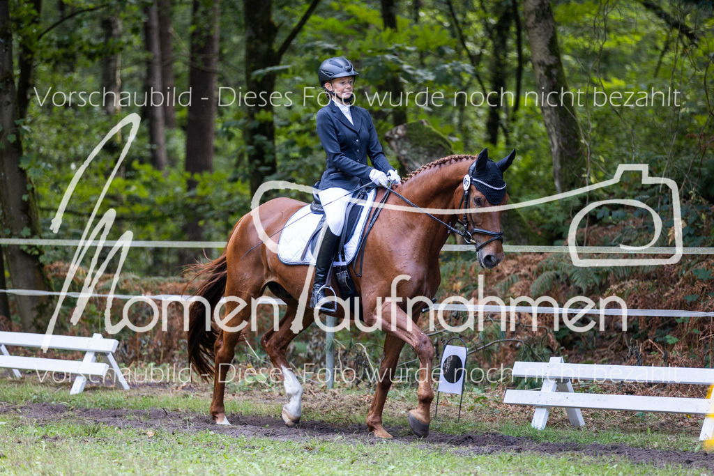 HB-Dressur-WB-061 | MomenTaufnahmen Pferdesportfotos