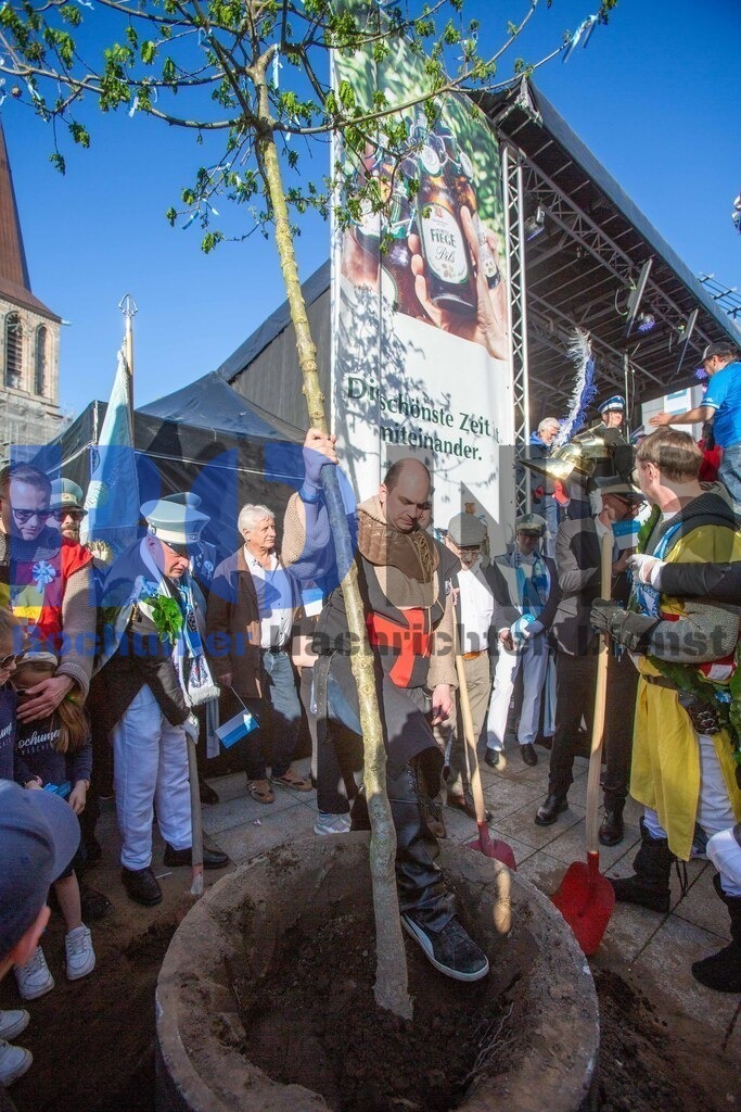VfL Bochum 1848 - Rot Weiss Ahlen U12 | VfL Bochum 1848 - Rot Weiss Ahlen U12 - Realisiert mit Pictrs.com