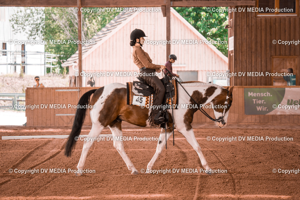 NE300263 | dv-media-shop - Realisiert mit Pictrs.com