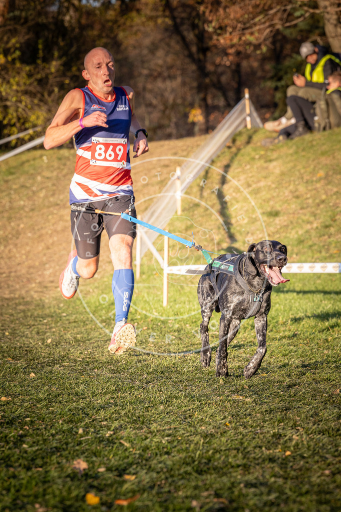 CaniXpix_0L8A1050 | Hundefotografie, Tierfotograf, Pfotenfotografie, Fotoshooting Hund, Hunde Portrait, Hundesport, Hundeportraits, Heideshooting, Hunde, Sportfotograf, Hundefotograf, Turnierhundsport, THS,  - Realisiert mit Pictrs.com