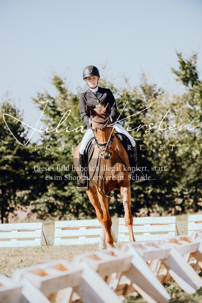 DSC_7249 | Pferde- und Turnierfotografie in Westsachsen. Pferdeportraits, Auftragszeichnungen und intuitive Kunst.