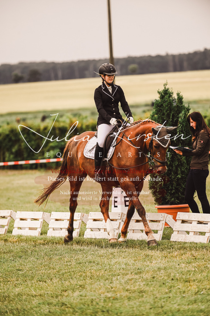 DSC_4848 | Pferde- und Turnierfotografie in Westsachsen. Pferdeportraits, Auftragszeichnungen und intuitive Kunst.