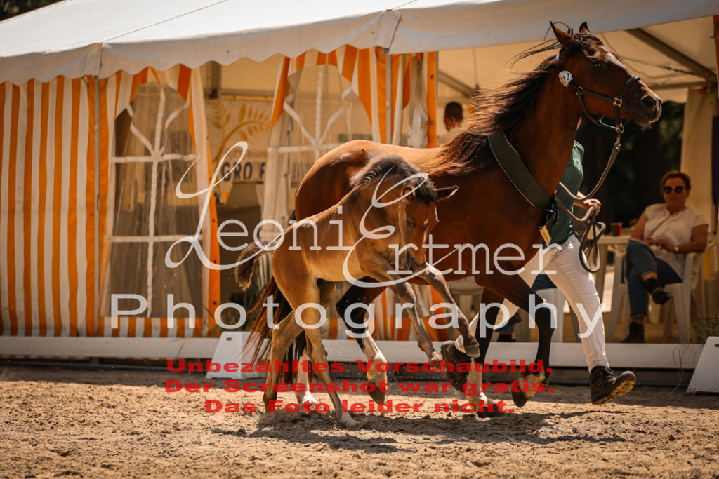 03.DoAB00084 | Leoni Ertmer Photography - Realisiert mit Pictrs.com
