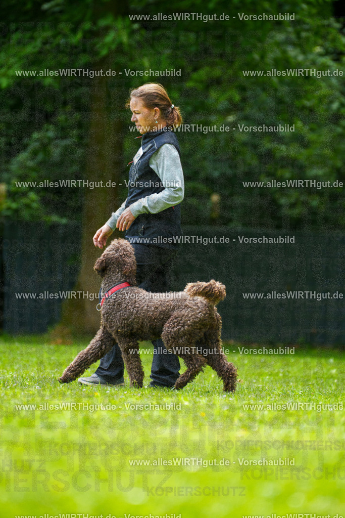 @allesWIRTHgut_Tierfotografie - www.allesWIRTHgut.de - 7R501092 | Professionelle Tierfotografie in Mönchengladbach von Daniel Wirth (allesWIRTHgut). Liebevolle & natürliche Bilder von Hunden & Katzen für unvergessliche Erinnerungen.