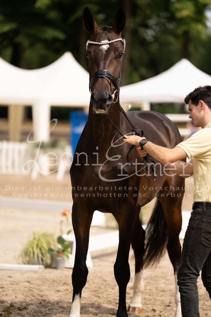 6.Fr00183 | Leoni Ertmer Photography - Realisiert mit Pictrs.com