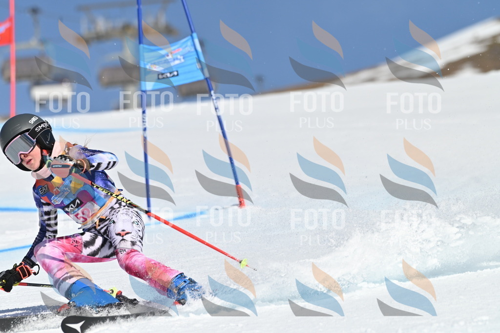 BGV_8582 | holidayphoto