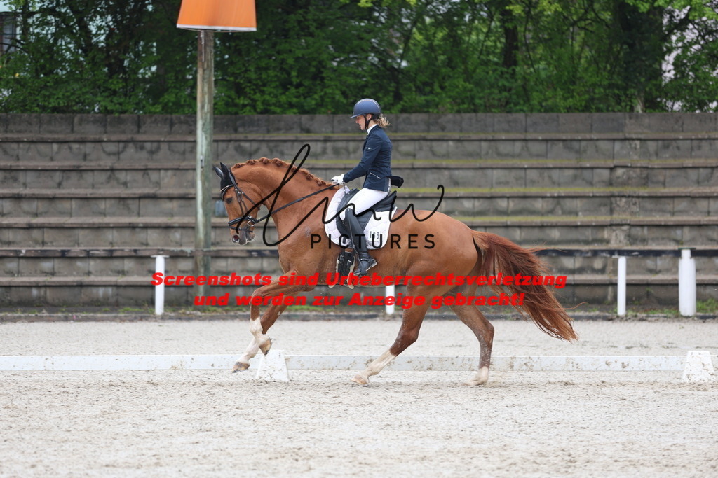 A40A8177 | lmwpictures - Realisiert mit Pictrs.com