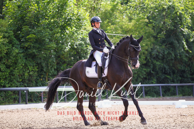 DKP41536 | Turnierfotos kaufen im Webshop von Daniel Kuhl Photography – entdecke professionelle Reitsportfotos aus Turnieren & Events. Hochwertige Turnierbilder online bestellen & sichern. Jetzt Fotos von Reitsportturnieren kaufen!