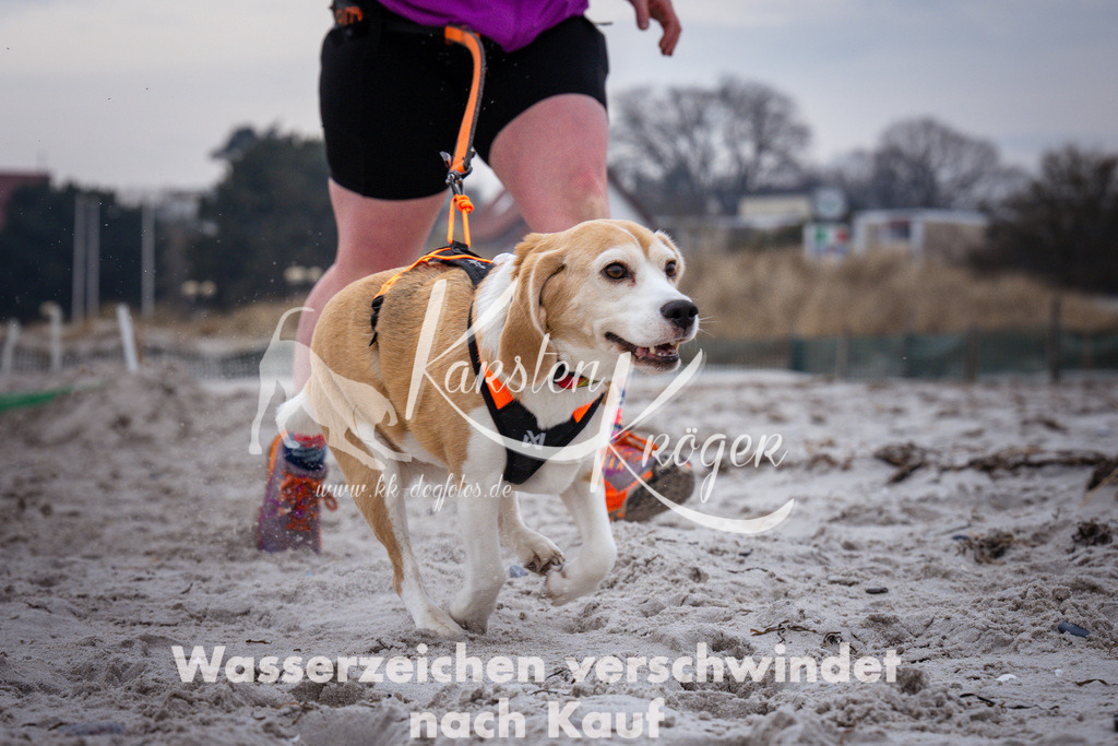 1216_ZZ93069 | kk-dogfotos