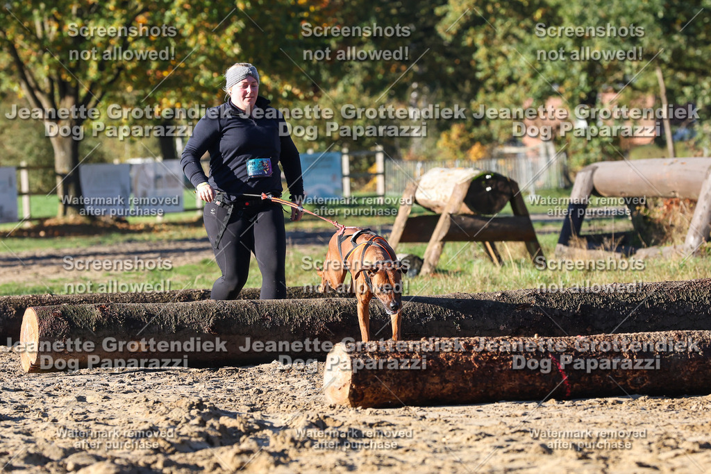Dog Paparazzi - Strongdog 10-25-1318 | Dog Paparazzi Jeanette Grottendiek Fotografie & Videografie - Realisiert mit Pictrs.com