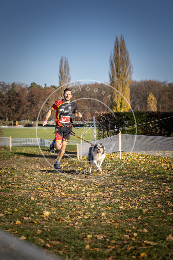 CaniXpix_DV3A0680 | Hundefotografie, Tierfotograf, Pfotenfotografie, Fotoshooting Hund, Hunde Portrait, Hundesport, Hundeportraits, Heideshooting, Hunde, Sportfotograf, Hundefotograf, Turnierhundsport, THS,  - Realisiert mit Pictrs.com