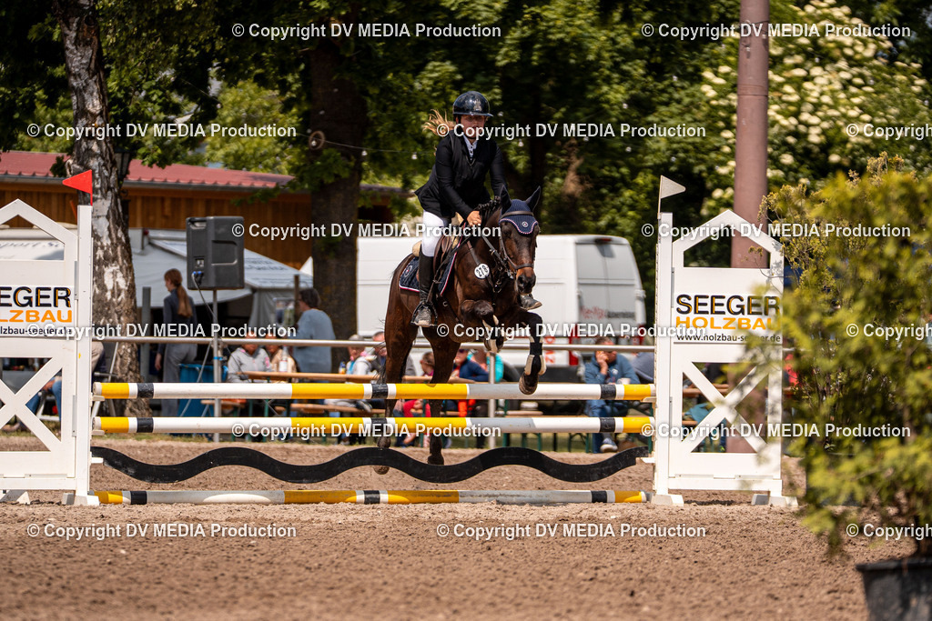 Eppelheim Tag 3-497 | dv-media-shop - Realisiert mit Pictrs.com