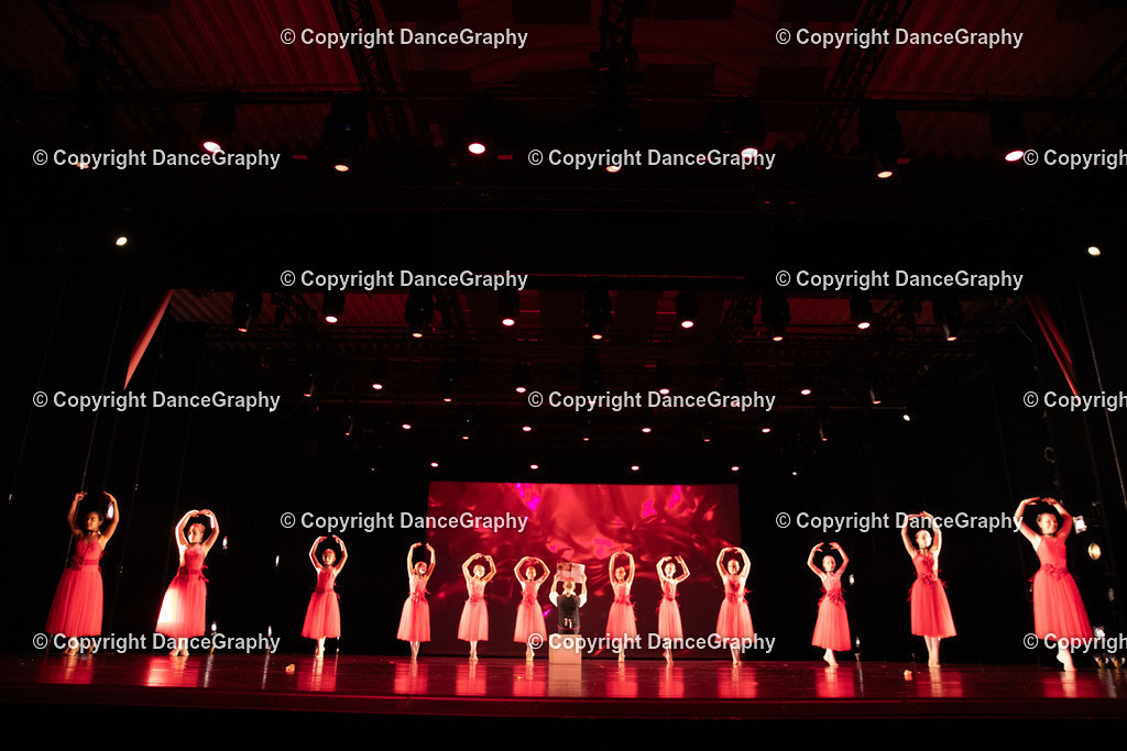 GPHY5178 | DanceGraphy - Realisiert mit Pictrs.com