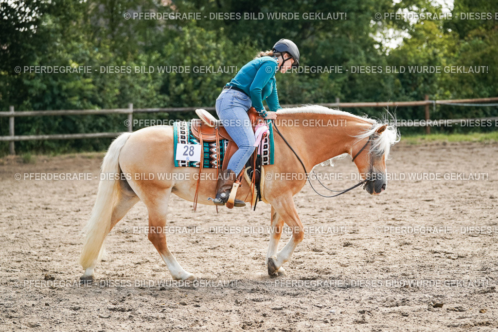 DSC04712 | Pferdegrafie